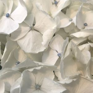 Meet your Posher, Leanne